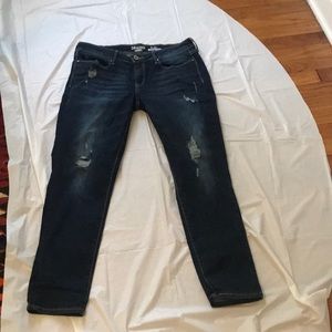 Levi's One of my favorite but I have lost weight!  So comfortable!